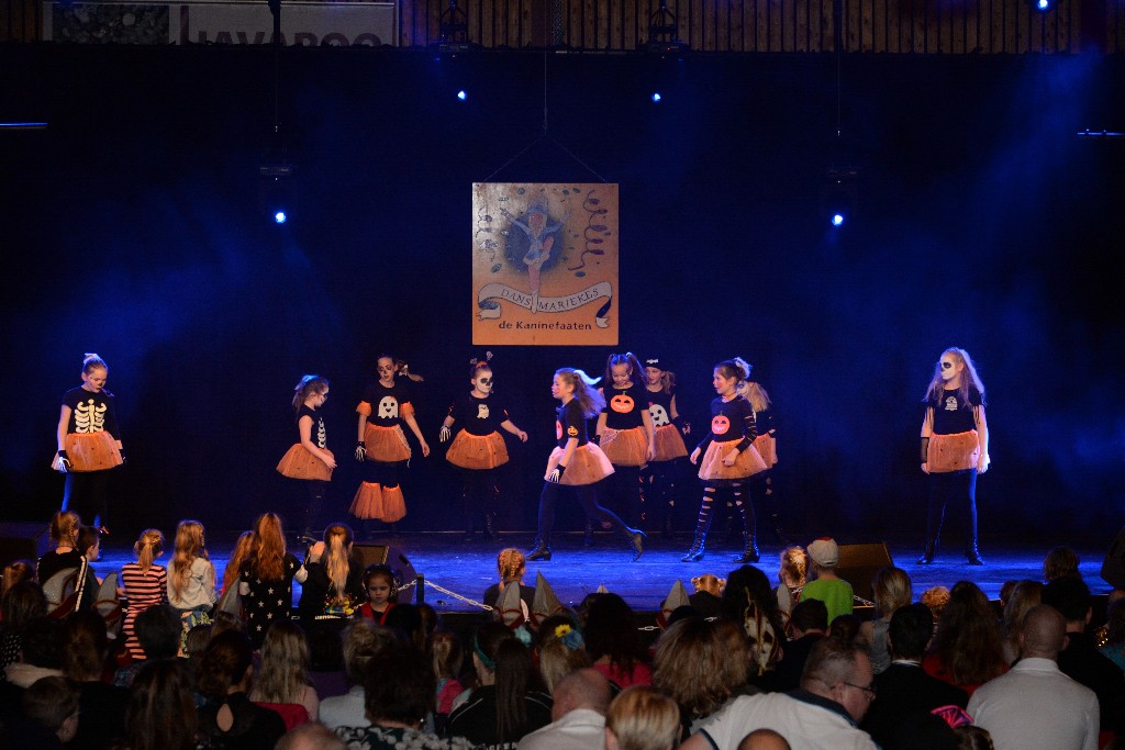 ../Images/Dansmariekefestival 2019 340.jpg